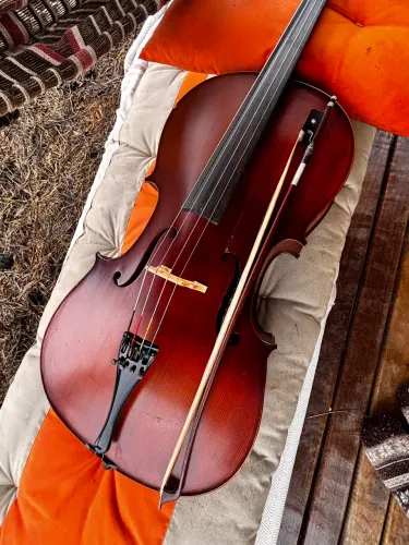 Violoncelo Eagle 4x4 intermediário/ avançado
