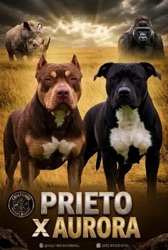Filhotes Pit Monsters