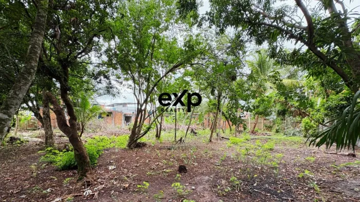 Oportunidade - Lote a Venda a 150m da praia em Barra Grande - Península de Maraú - Bahia