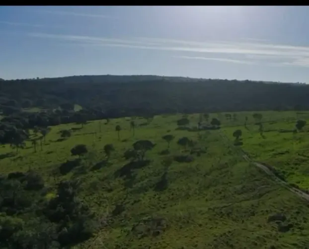Fazenda pra pecuária Douradoguara Minas Gerais