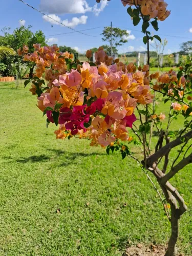 Chácara linda pra descanso 