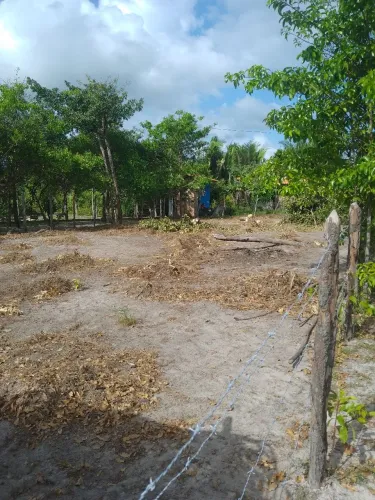 Um terero na cidade de cururupu com a medida 13×60