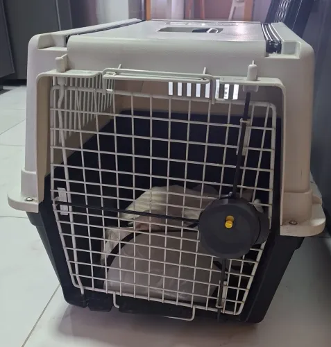 Caixa transporte grande (cachorro)