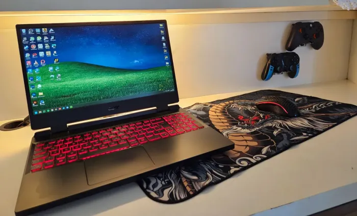 Acer Nitro 5