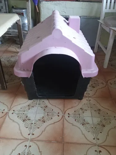 Casinha de cachorro em perfeito estado minha cadela usou pouco número 5