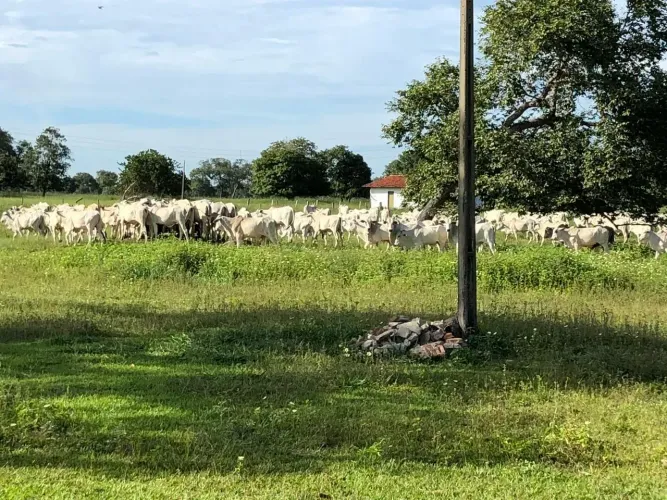 Fazenda no município de Jussara-GO  - 367 alqueires