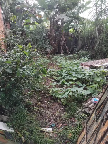 OPORTUNIDADE TERRENO