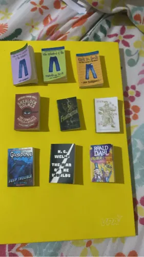 Coleção de minis books
