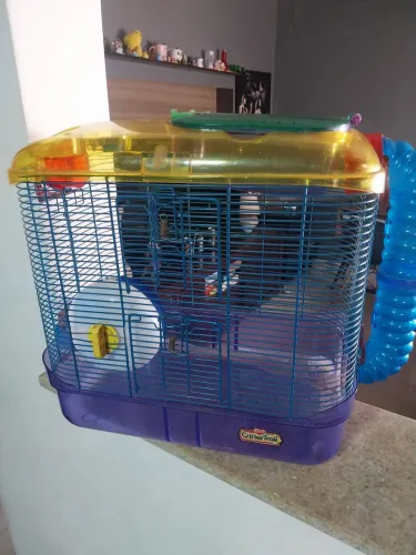 Gaiola De Hamister