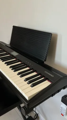 Teclado Roland GO: PIANO 61 Teclas - Excelente Estado