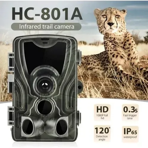 Câmera de Caça Suntekcam HC801A
