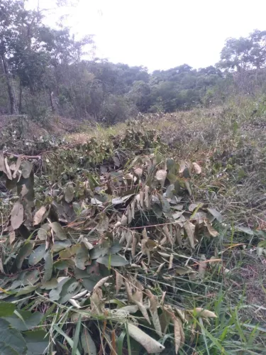 Vendo terreno em Ravena Sabará