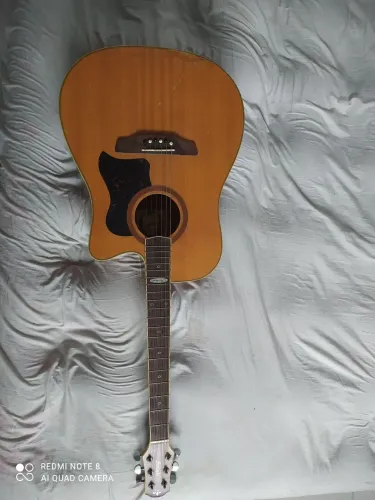 Violão Elétrico Strinberg