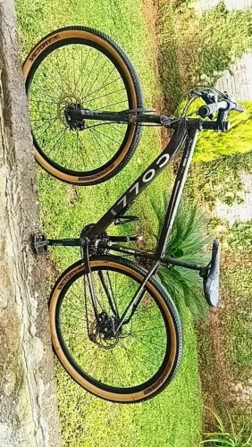 Bicicleta colli aro 29