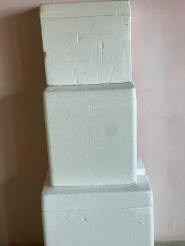 3 caixas de isopor