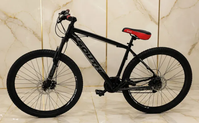 Bike Aro 29