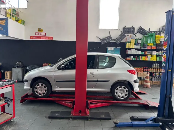 Peugeot 206 Presence 1.4/ 1.4 Flex 8V 3P 2007