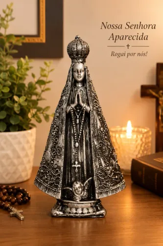Imagem Nossa Senhora Aparecida - Resina