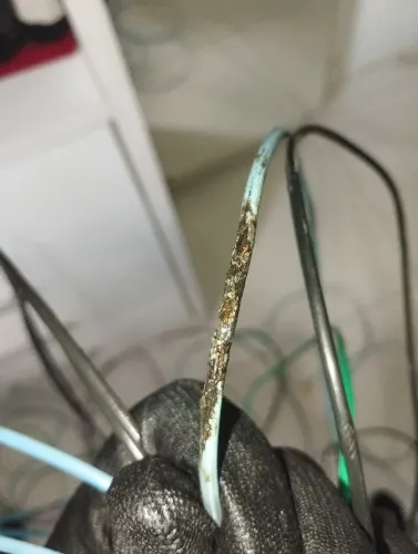 Eletricista disponível