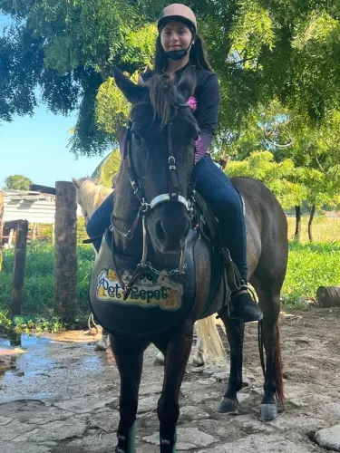 Cavalo de esteira