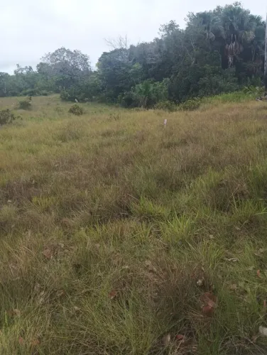Imóvel para venda com 198 metros quadrados em Plano Diretor Norte - Palmas - TO