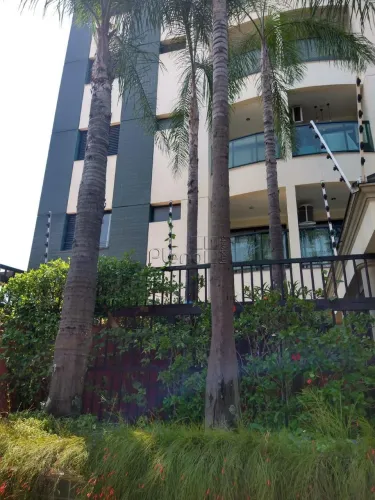 Apartamento à venda com 1 suíte no Botafogo, Campinas.