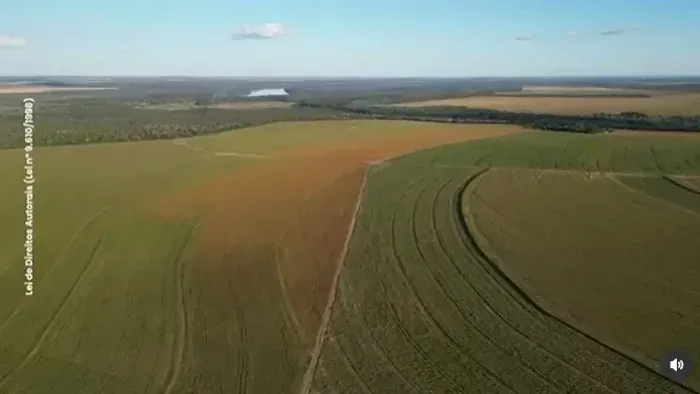 1.190 HA DE SOJA | 471 ALQUEIRES | FAZENDA DE ALTA PRODUTIVIDADE