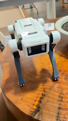 Smart dog - Cachorro robô