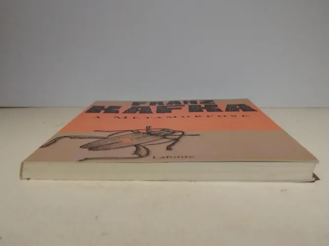 Livro a metamorfose de Franz kafka