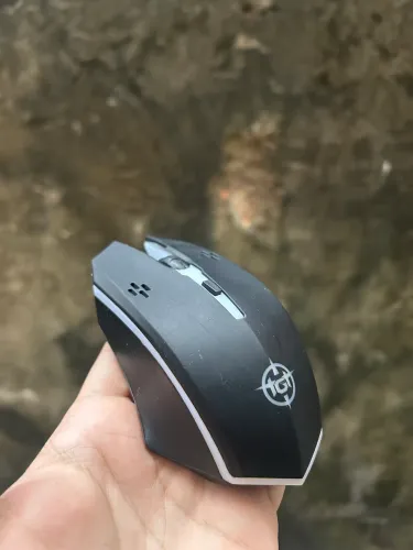 Mouse TGT