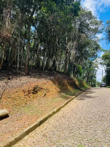 Lote em Macacos