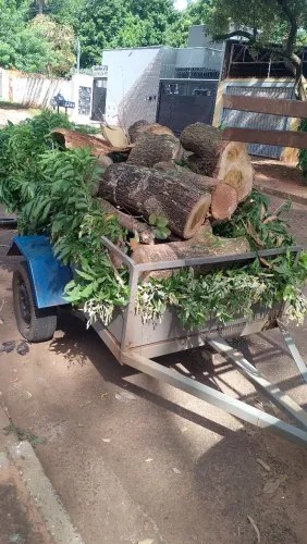 Limpeza de terreno 