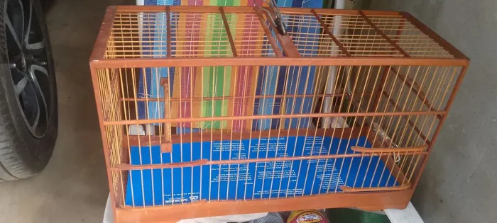 VENDO GAIOLA VOADOR