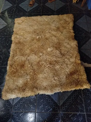 Tapete ideal para o frio