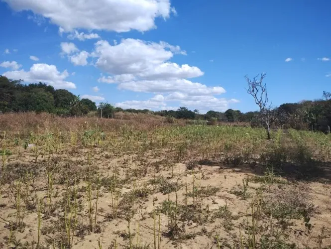 VENDO LOTE 5000 MIL METROS SETOR AGUAS BONITAS EM AGUAS LINDAS