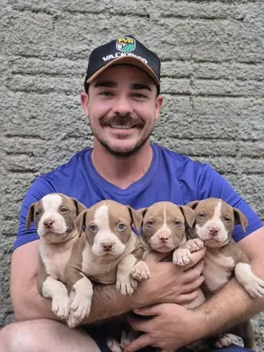 Doa se Pitbull, me chama no WhatsApp! Atendo ligação pode ligar 