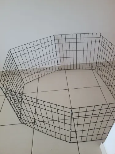 Cercadinho para cachorro