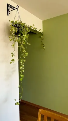 Pintura Residencial e decorativa
