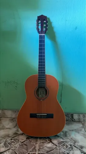Vendo violão