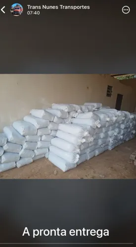 Venda de silagem de milho
