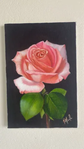 Quadro rosa