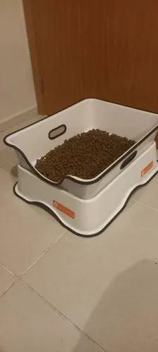 WEASY CAT