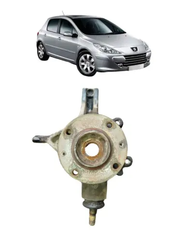 Montante Lado Direito Peugeot 307 