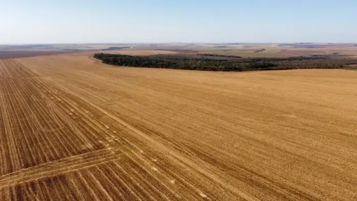 R$160 Milhões Fazenda 729 alqueires em São João D Aliança