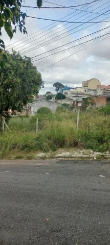 Limpeza de terreno.