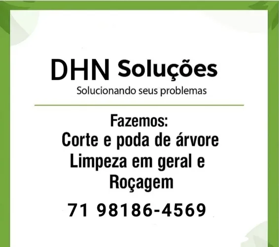 Serviço roçagem e poda de árvore limpeza de terreno