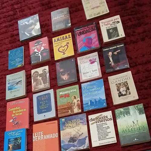 Lote com 23 livros usados diversos 