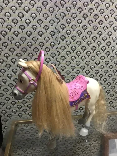 Cavalo Maximus Enrolados 90,00 entrego Águas lindas, Ceilândia e Asa norte 