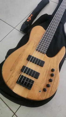 Baixo marca FODERA c/case+Cubo antera c/capa+Cabo sparflex+ Alça em perfeito estado.