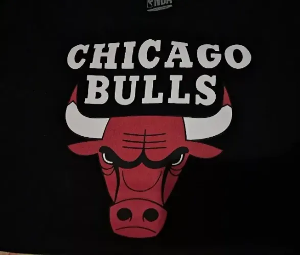 camiseta Chicago Bulls NBA tam. M